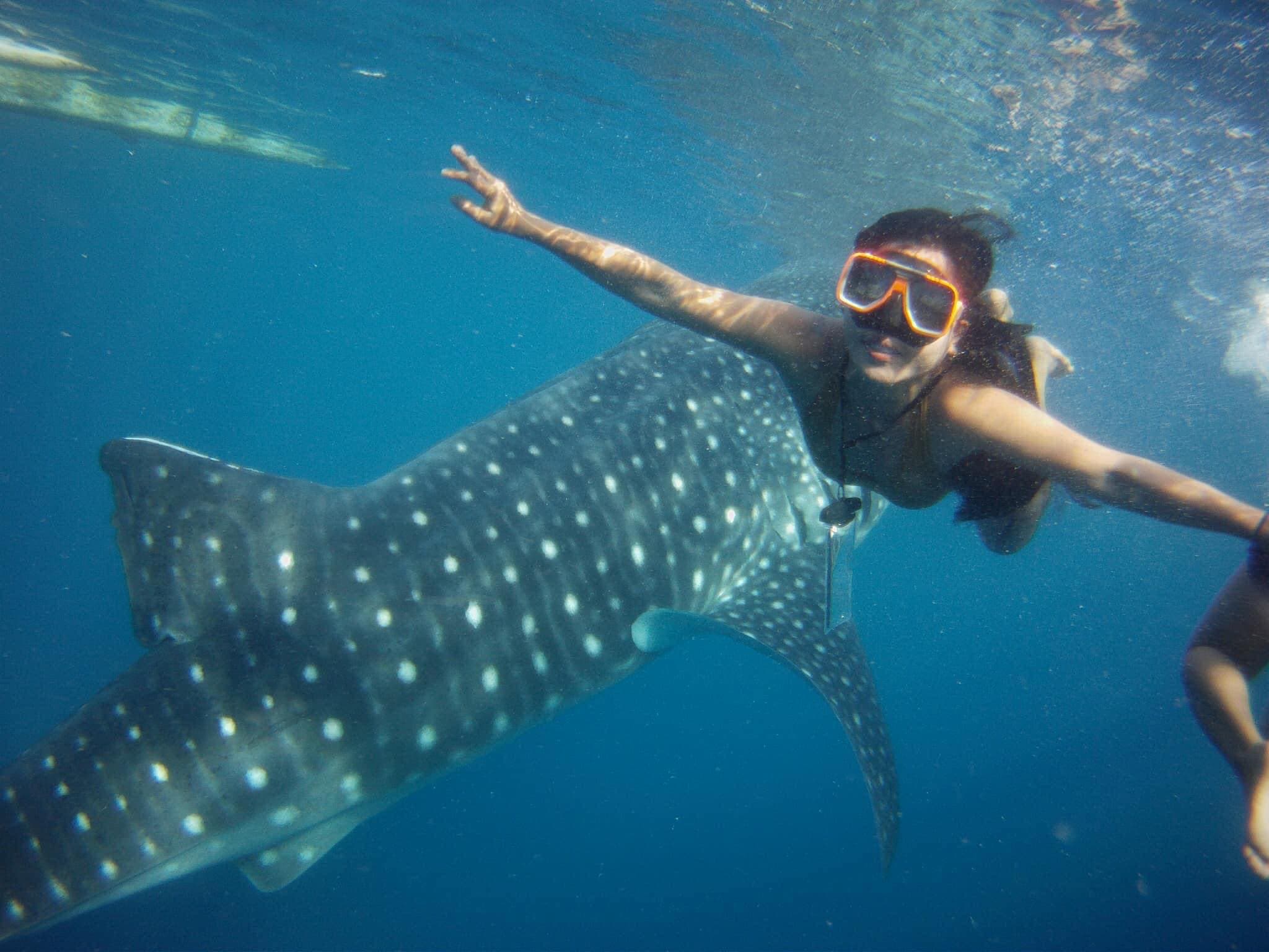 Image of Sirena Tours Image of Sirena Tours